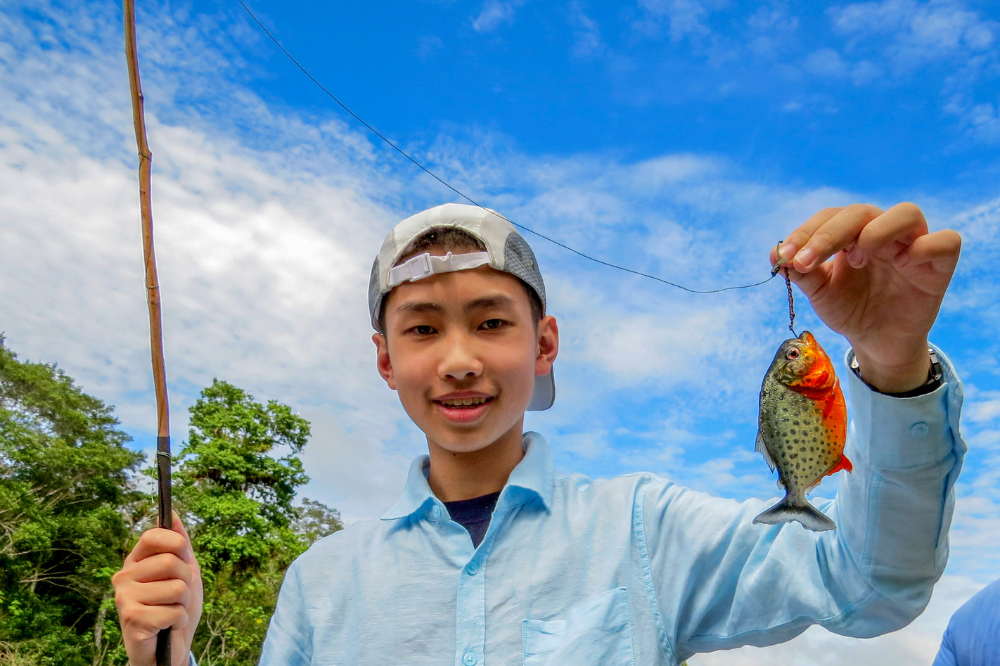 Piranha fishing in Amazon jungle river, Peru