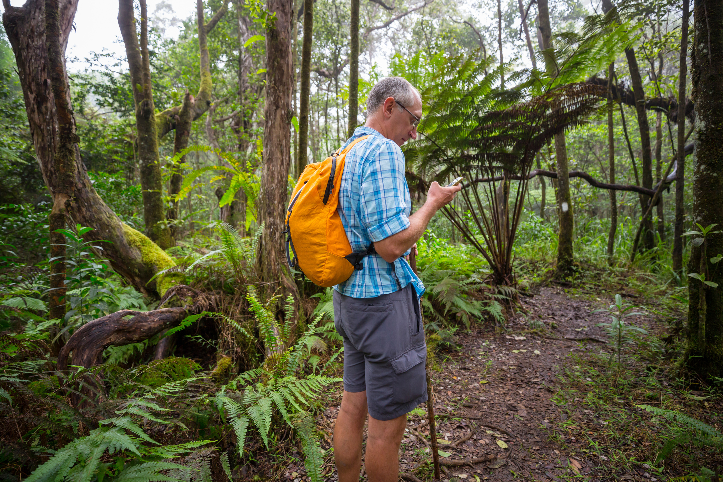 Hike in Jungle