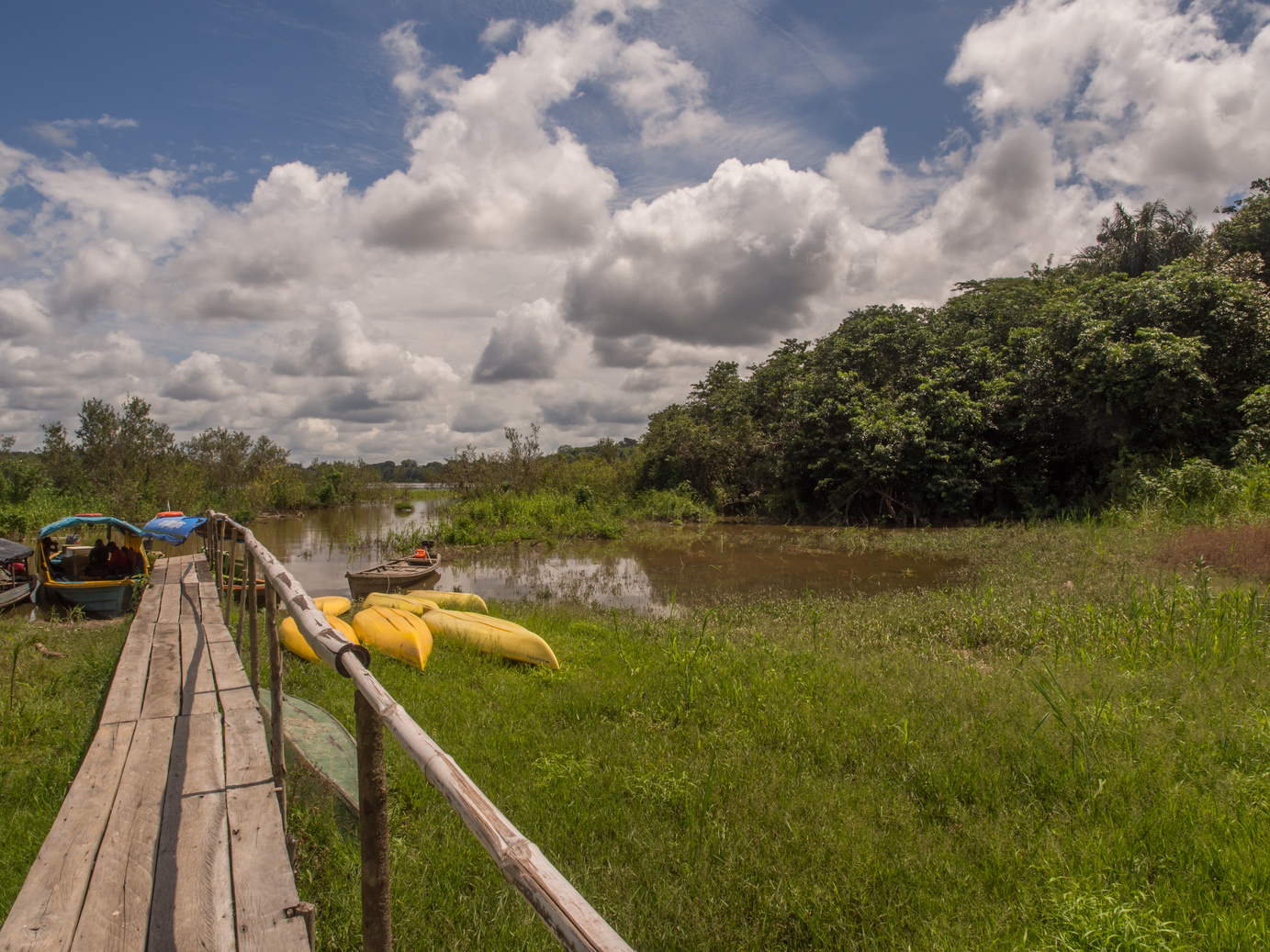 Kayaks in the Amazon jungle