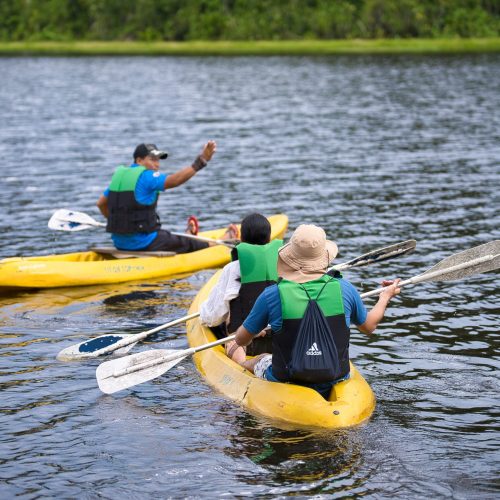 KAYAK 1